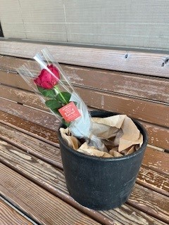 【等々力緑地会場】花咲くかわさきマーケット